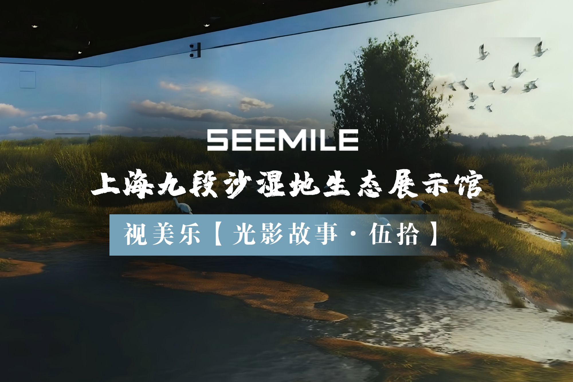 光影探秘九段沙，視美樂以創(chuàng)新投影技術(shù)演繹濕地生態(tài)自然秀